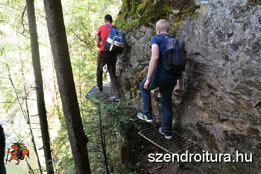 09_19_Harnad_attores_101.JPG