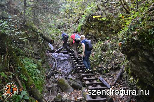 09_19_Harnad_attores_102.JPG
