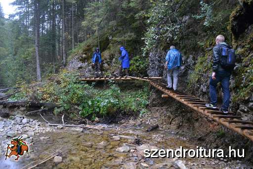 09_19_Harnad_attores_107.JPG