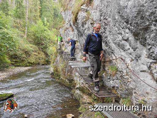 09_19_Harnad_attores_113.JPG