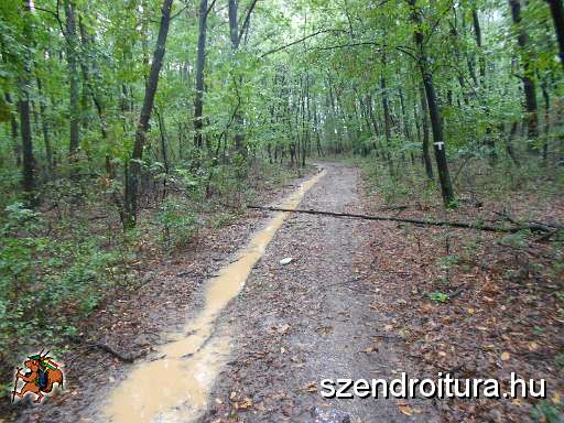 09_26_Magashegy_TT_105.JPG