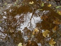 10_10_Less_Nandor_TT_108
