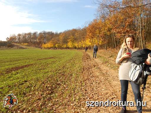 11_14_Foiskolas_tura_102.JPG