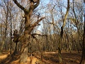 11_14_Foiskolas_tura_105