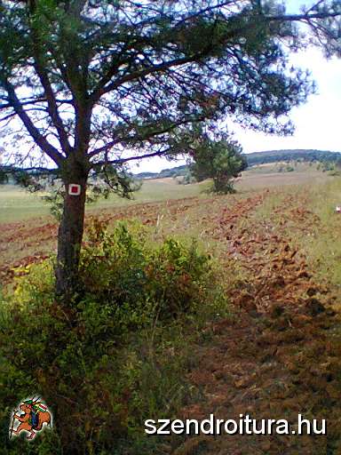 P_negyzet_jelfestes_103.JPG
