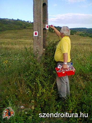 P_negyzet_jelfestes_109.JPG