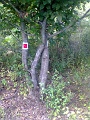 P_negyzet_jelfestes_101