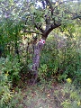 P_negyzet_jelfestes_102