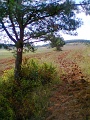 P_negyzet_jelfestes_103