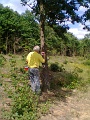 P_negyzet_jelfestes_104