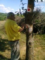 P_negyzet_jelfestes_105