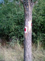 P_negyzet_jelfestes_108