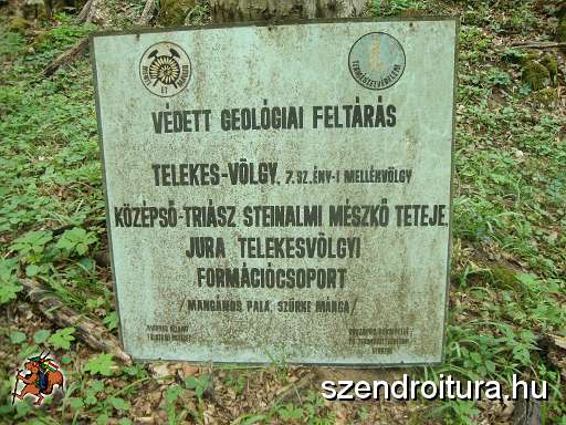 paloczki_zoltan_5.JPG
