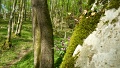 nagy_lajos_rozsaszin_arvacsalan_az_ordog_gatjanal