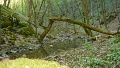 nagy_lajos_telekes_volgy