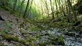 nagy_lajos_telekes_volgy_2