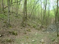 paloczki_zoltan_2