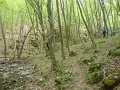 paloczki_zoltan_3