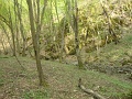 paloczki_zoltan_4