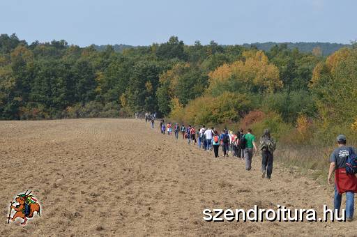 10_SZKGY_2016_107.JPG