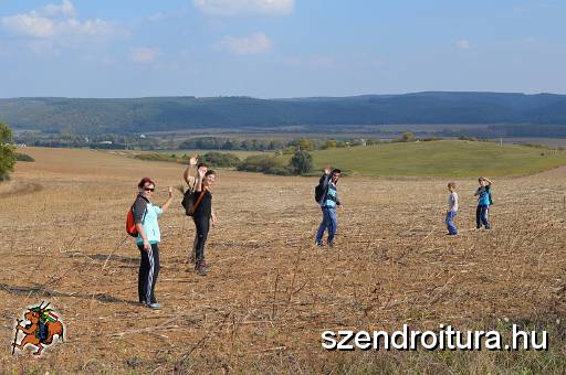 10_SZKGY_2016_110.JPG