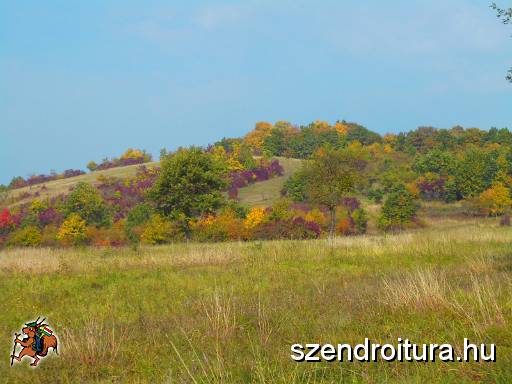 10_SZKGY_2016_120.JPG