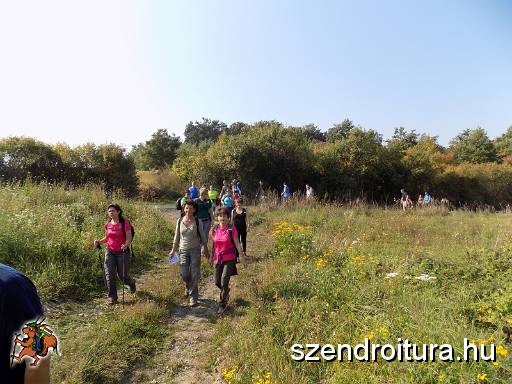10_SZKGY_2016_140.JPG