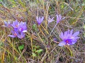 10_SZKGY_2016_128