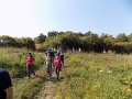 10_SZKGY_2016_140