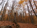 11_Banrevei_csapattal_OKT_108