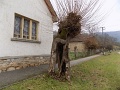 11_Banrevei_csapattal_OKT_110