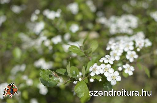 2016_Vitezlo_tura_album3_105.JPG