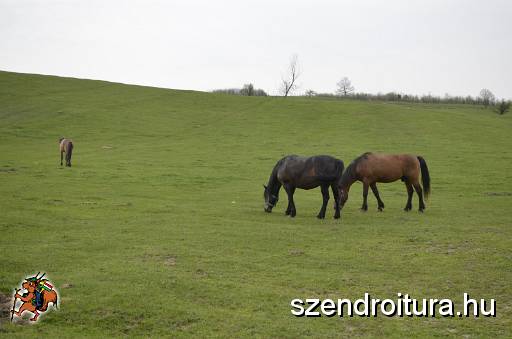 2016_Vitezlo_tura_album3_147.JPG