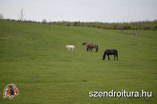 2016_Vitezlo_tura_album3_148.JPG