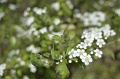2016_Vitezlo_tura_album3_105