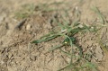 2016_Vitezlo_tura_album3_108