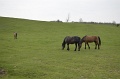 2016_Vitezlo_tura_album3_147