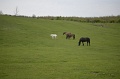 2016_Vitezlo_tura_album3_148