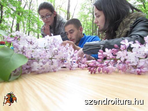 2016_Vitezlo_tura_album4_137.JPG