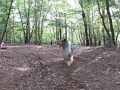 2016_Vitezlo_tura_album4_100