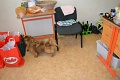 2016_Vitezlo_tura_album5_112