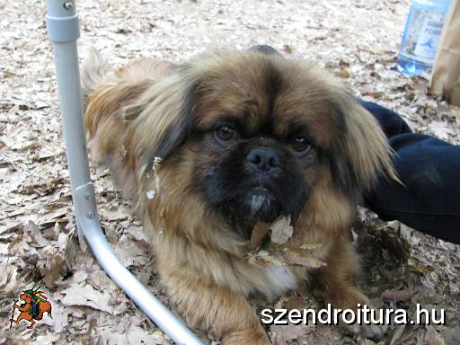 2016_Vitezlo_tura_album6_131.JPG