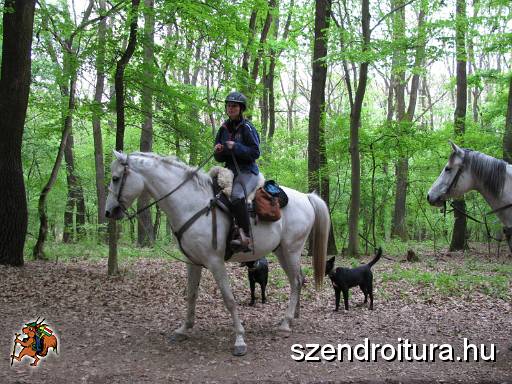 2016_Vitezlo_tura_album6_132.JPG