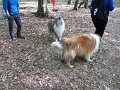 2016_Vitezlo_tura_album6_100