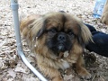2016_Vitezlo_tura_album6_131