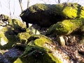 2_Barcika_tt_103