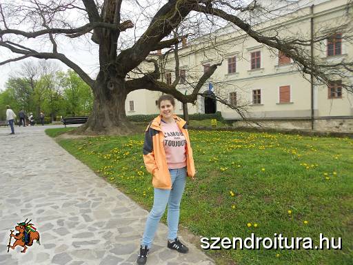 4_Varbaratokkal_103.JPG