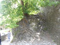5_Bukk_50_tt_106