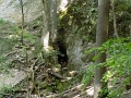 5_Egri_Bukk_106