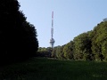 9_Tokaji_Bortura_tt_109